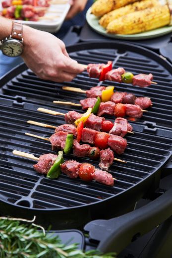 BBQ-Skewers-Grill.jpg