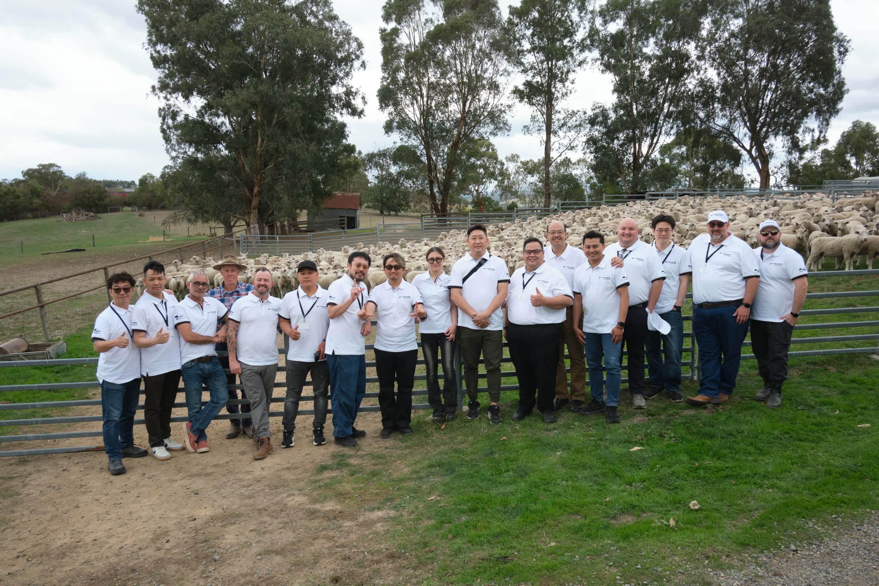 Lambassadors Return to Australia: A May 2025 Culinary Journey