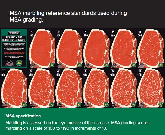 msa-marbling-score.jpg