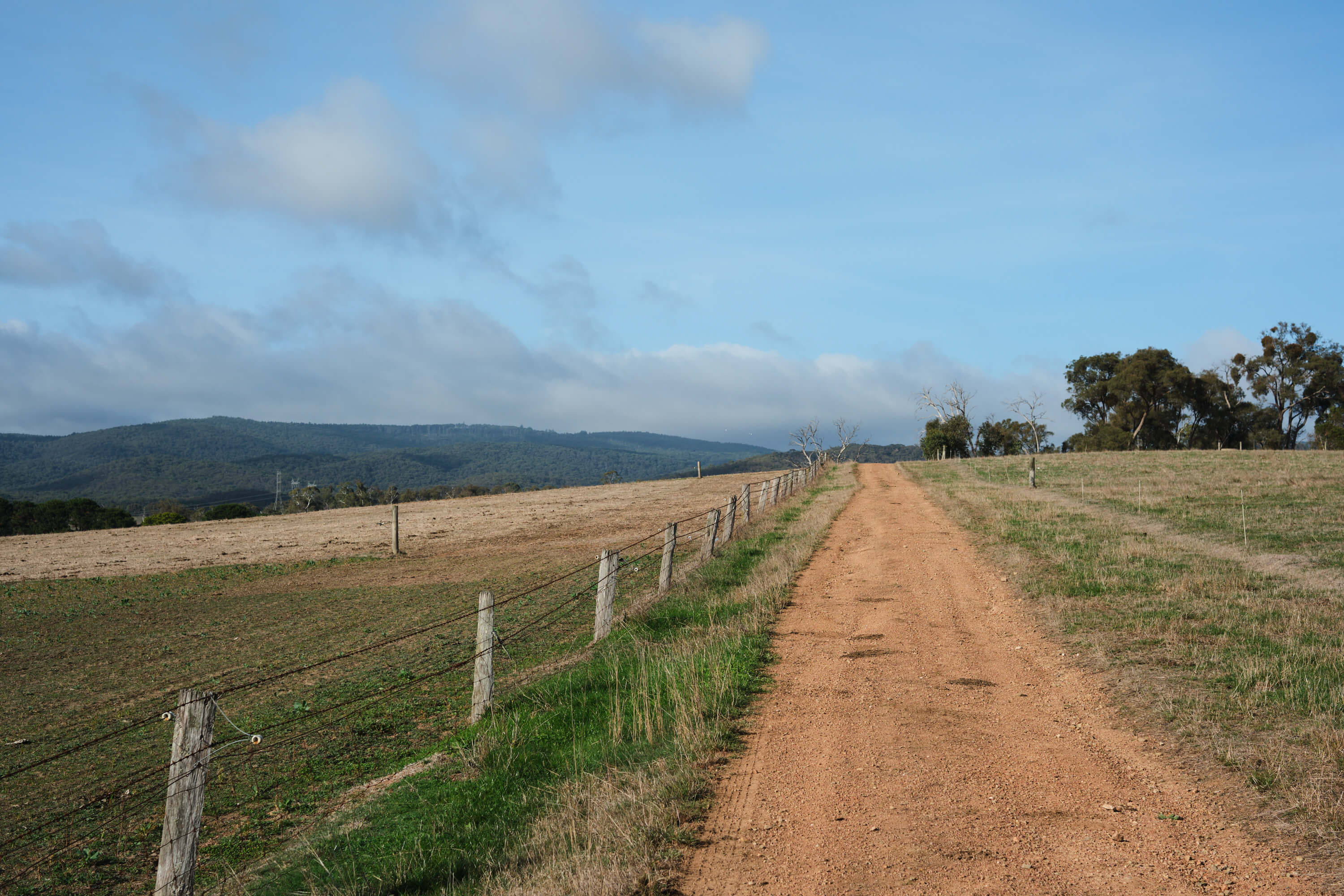 australian-sustainable-farm-beef-lamb.jpg