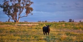 The Porterhouse Post (Jul - 26)
