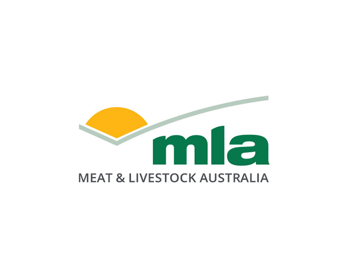 About MLA
